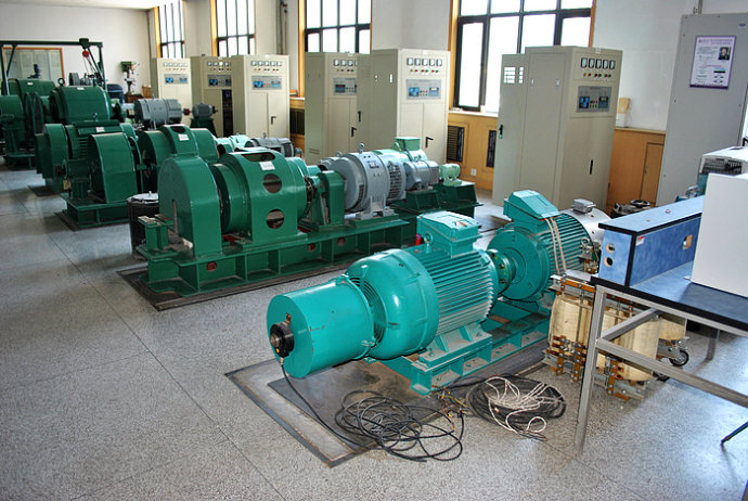 Y8008-6某热电厂使用我厂的YKK高压电机提供动力