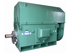 Y8008-6Y系列6KV高压电机